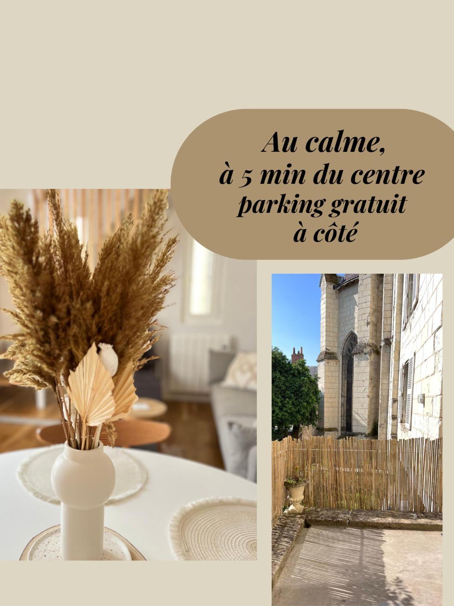 Le Jeanne, Appartement En Duplex Proche Forteresse Et Centre Ville Chinon Exterior photo